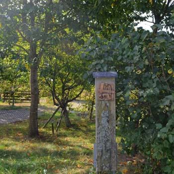 Grabstelle (1) Leider haben wir keinen Alternativtext zu diesem Bild, aber wir arbeiten daran.